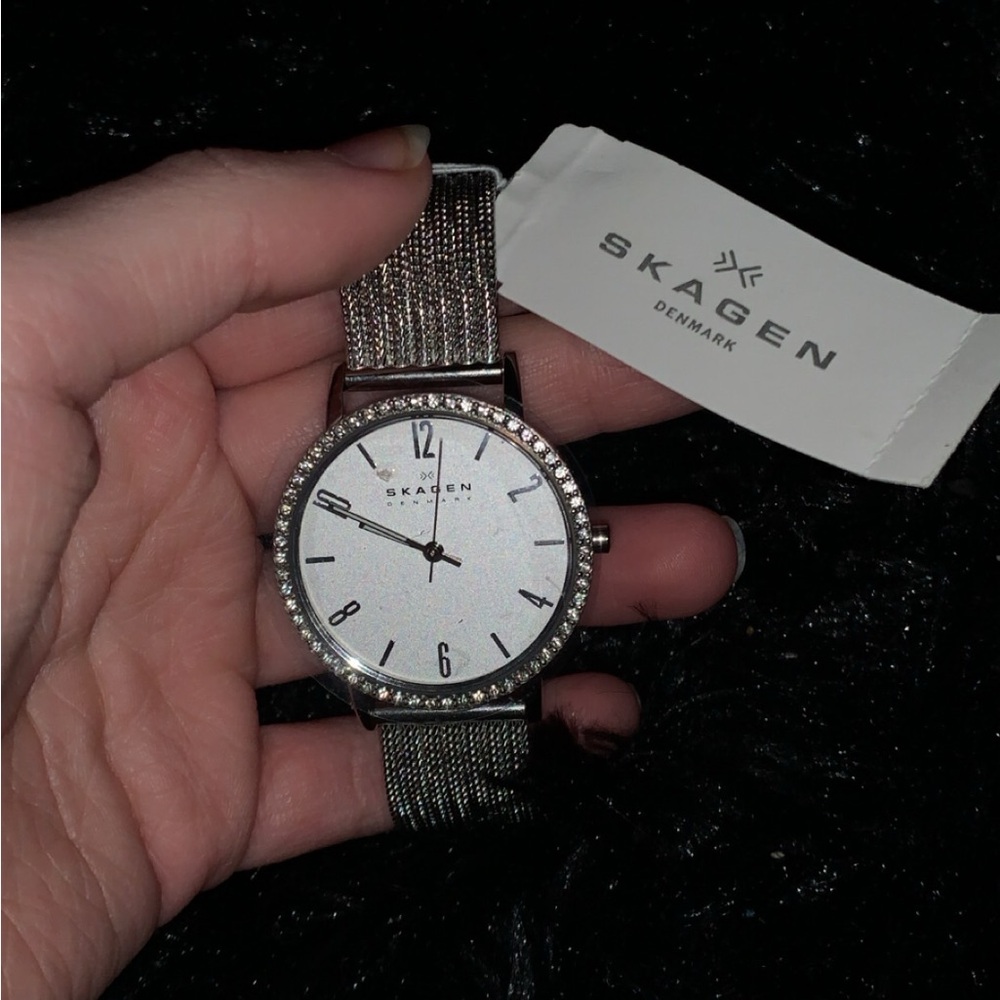 Skagen Silver Women’s Watch